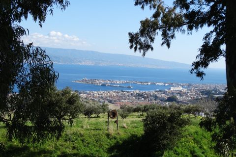 fotoXarticoloXCilona